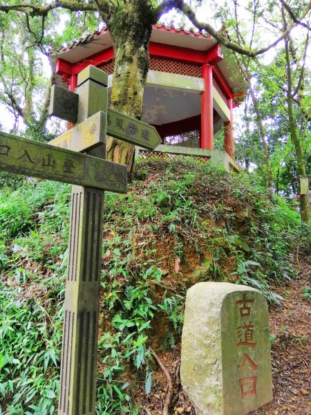 悠悠古道森林浴。 鳴鳳山遊憩區735661