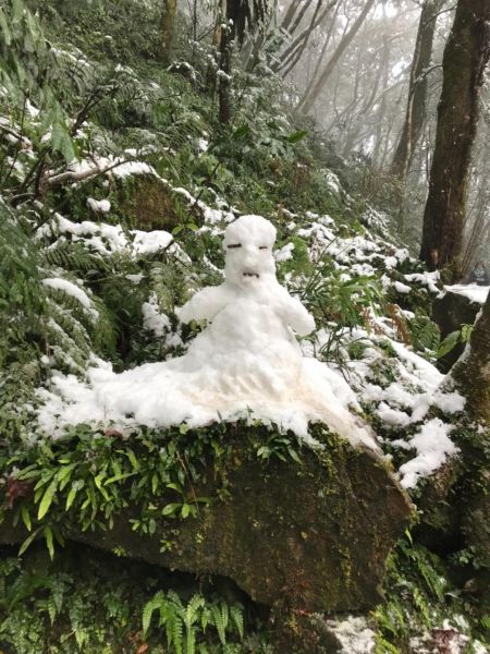 201802 東眼山追雪記自導式步道294088