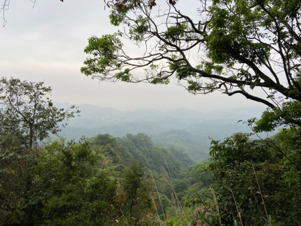 大坑2號原路來回2130464