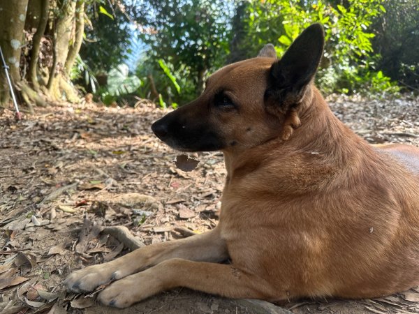 苗栗金童山、玉女山、汶水山2672887