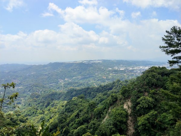 頭嵙山(小百岳#41)大坑4,5,1步道1003717