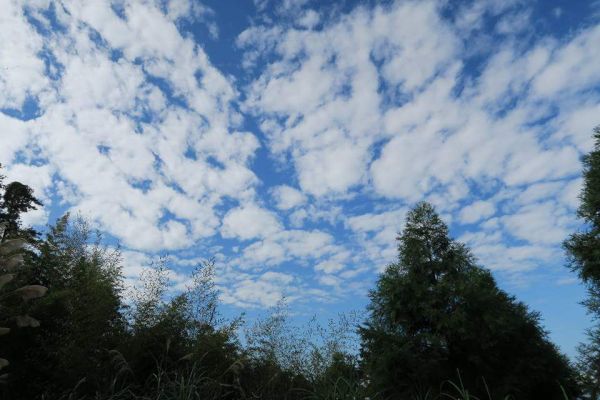 2016-12-14馬那邦山206659