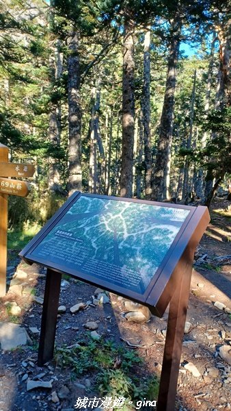 【台中和平】山迢路遠換壯闊山景。 No75百岳雪山東峰xNo2百岳雪山主峰 (兩天兩夜)2347690