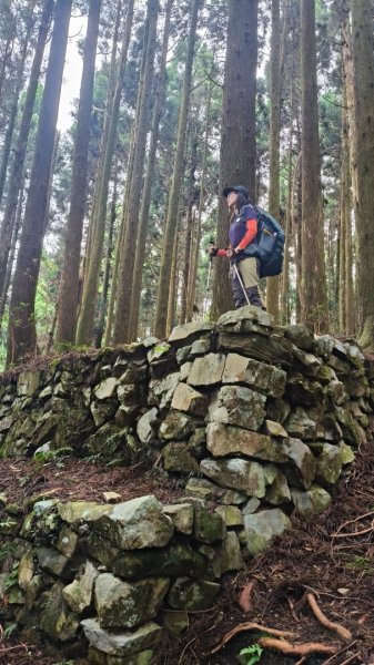 大混李棟重訓2883640