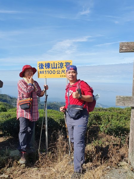 【雲嘉茶園之美】後棟山連走大二尖山1532204