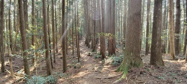 2026/04/14 高島縱走P型封面