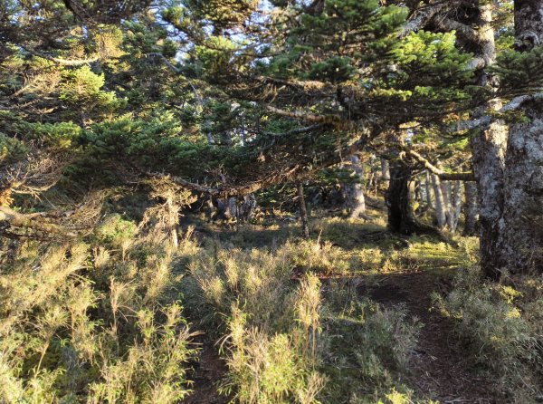 北一段(08/14)陶塞峰 2025_0906~132886927