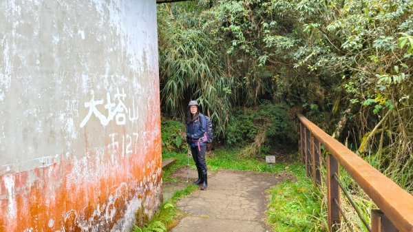 神阿縱走~台灣難抵極~大塔山2971494