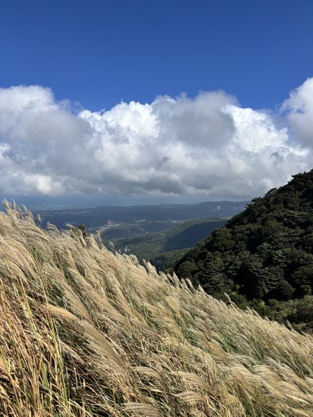 面天山、向天山、向天池2921048