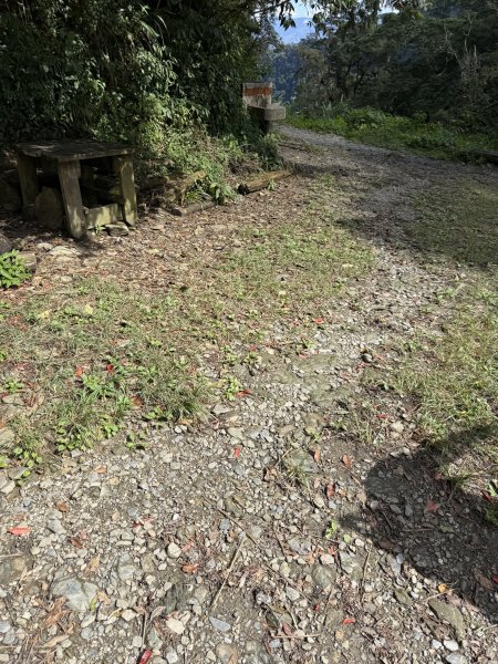 91北大武山（至檜谷山莊）115.10.043128660