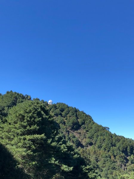 鹿林山步道1508234