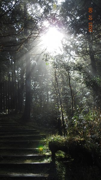 再衝太平山賞日出/雲海雲瀑同框&霧虹觀音圈同框&首登望洋山1/81986379