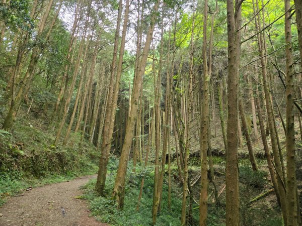 石山引水道2758966