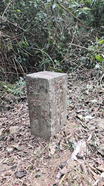 20251218犁頭山-吧哩國山主東峰-石頭坑山西南峰-石頭坑山2967004