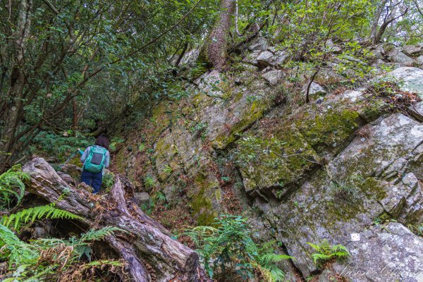 谷關七雄_波津加山2977567