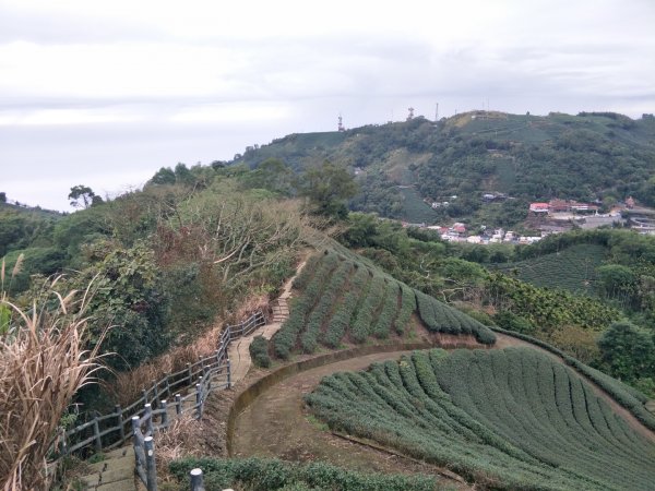 雲嘉七連峰1560713