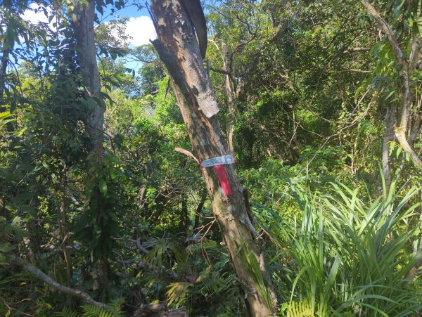 2025.10.10－微笑山線：【二格山系】皇帝殿稜線2919509