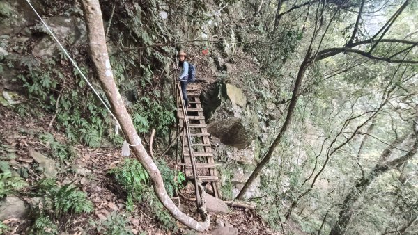 鳥東洗縱走11503213023084
