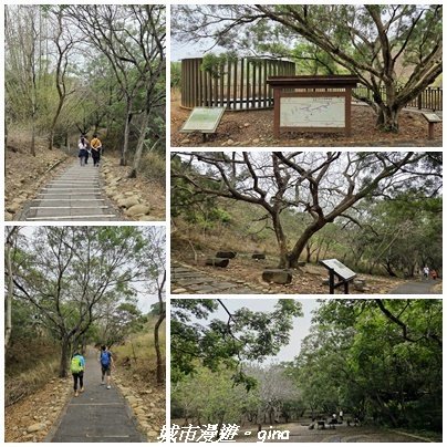 【台中龍井/大肚】竹坑南寮登山步道x瑞井登山步道O繞3031252