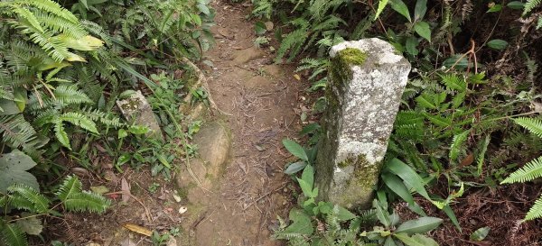 2025/07/19-大艽芎古道上溪洲山O型2841560