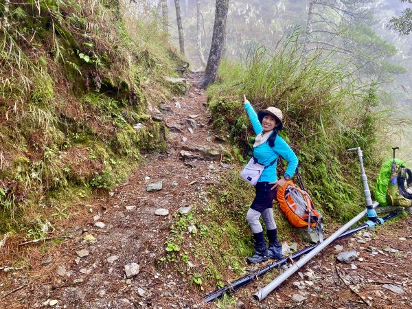 啟動高山度假模式  波光瀲灩嘉明湖2651782