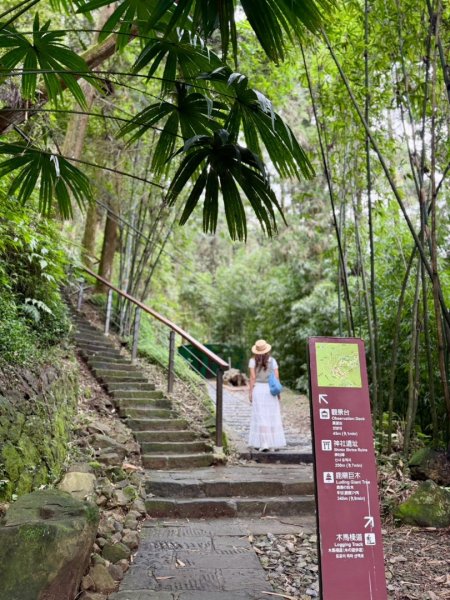 奮起湖 奮起步道  老街 老老街3119281