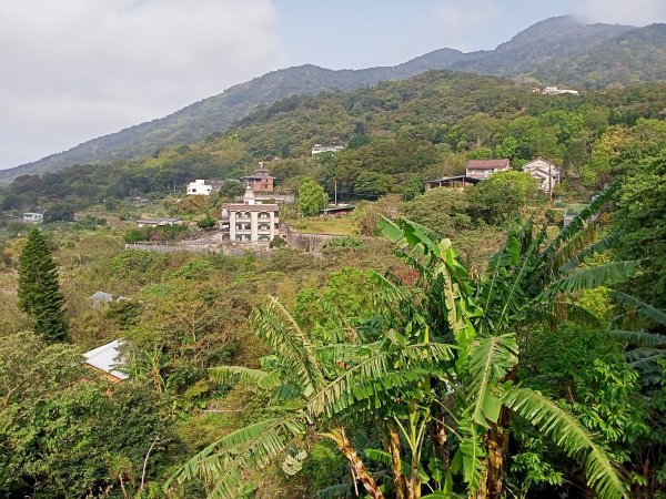 陽春三月暢遊風尾步道→十八份水圳步道→陽峰古道→陽明公園→湖山綠地→橫嶺古道→半嶺步道→猴洞→天母2047568