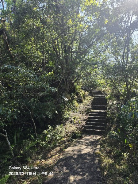 2026-03-15微笑山線：【二格山系】皇帝殿稜線段3016099