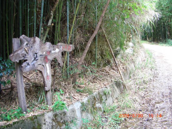 司馬庫斯部落之旅200808301954577