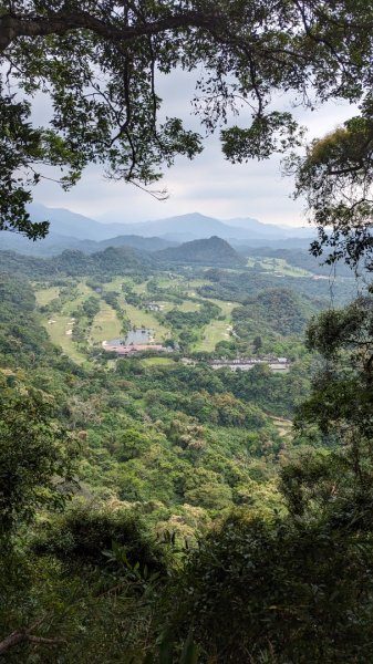 赤柯山 東獅頭山2501623