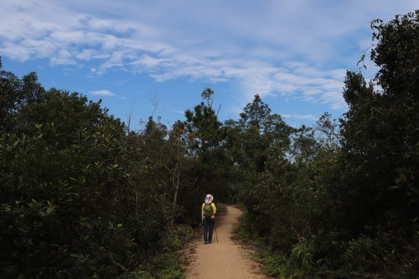 HK - 老人石河1446537