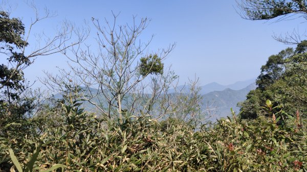 田良井山六連峰(屏東三地門) 探勘初體驗2025年3月9日2731535