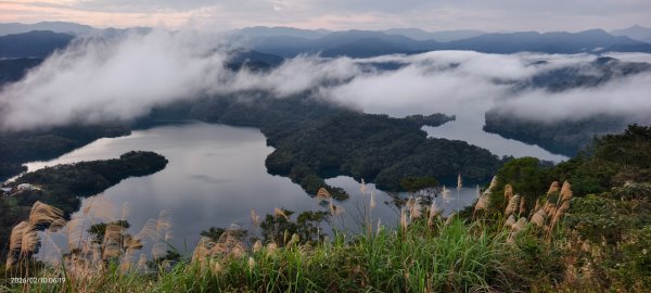 跟著雲海達人山友追雲趣 #鱷魚島 #日出 #雲海 #斜射光 2/102995960