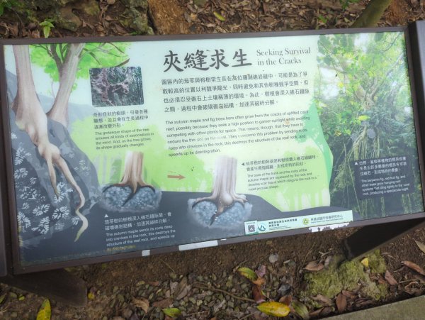 2024.06.09－墾丁國家公園2523858