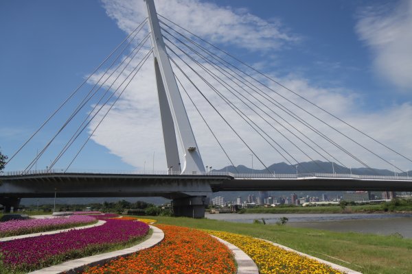 2026-05-27 社子日光水岸廣場賞花海─基隆河左岸自行車道→日光水岸廣場花海→社子大橋下遊戲區→龍舟碼頭