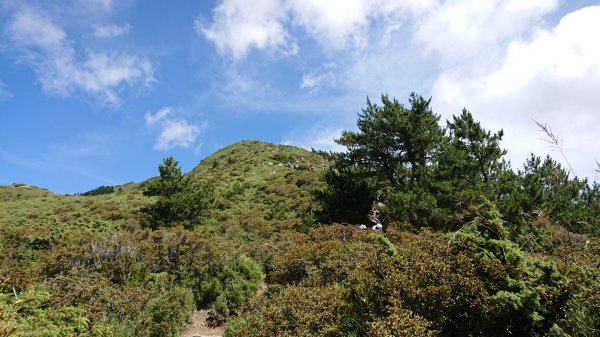 念念不忘合歡北峰1099274