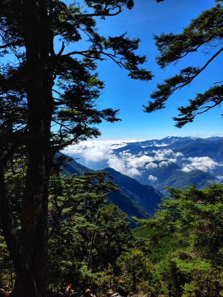 20221028溪頭山關山嶺山O繞    有夠美的啦🥰！1890163