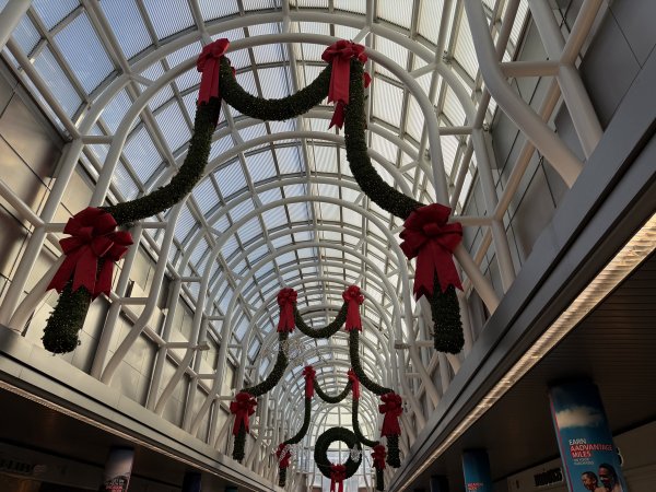 [紐約馬之行-54] 2025_1113~14 義大利廣場2953494