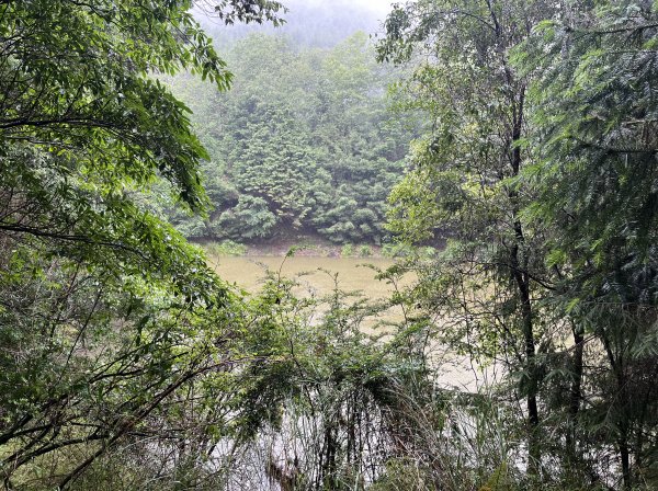 [玉山尋寶任務-02/12] 2025_0727 中之關、天池步道/南橫公路2847618