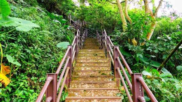 華山小天梯,情人橋2948584