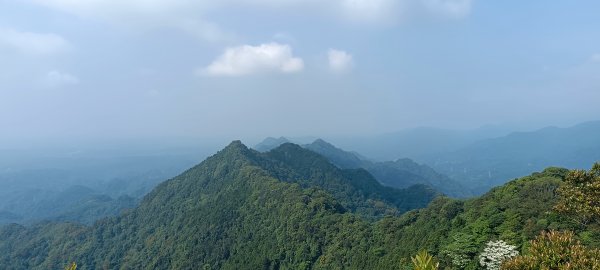 2024/05/10-仙山登山步道2502669