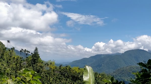 嘉義太興岩步道1751313