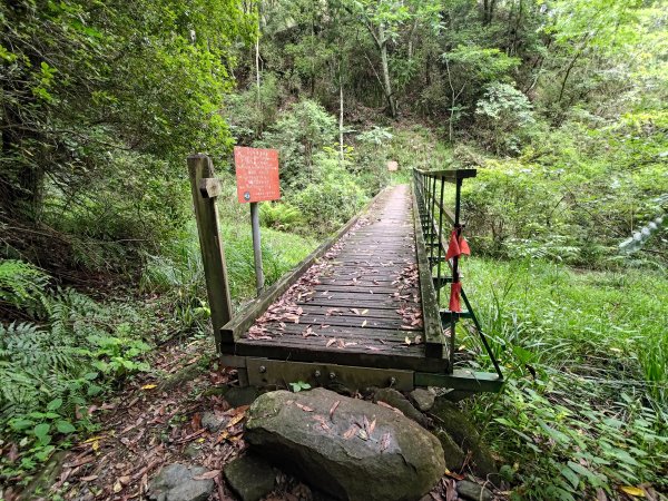 志佳陽大山登山步道2520083