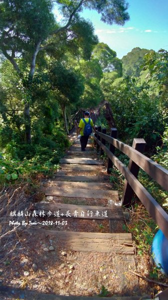 麒麟山森林步道20181103454077