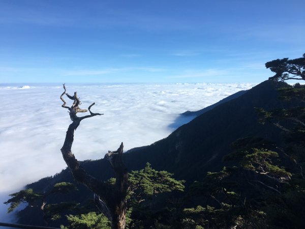 雲海的故鄉-北大武山1177974