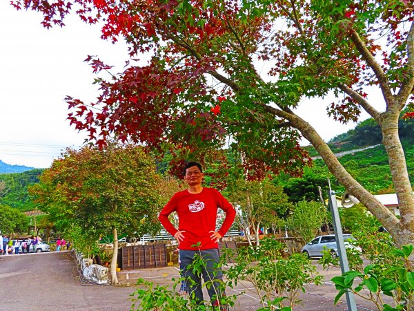 愛上登山的理由-馬那邦山賞楓去483117