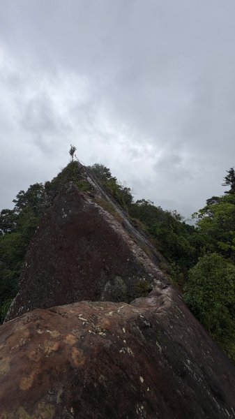 迎新（2026元旦2975608