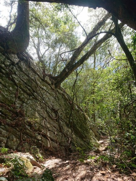 谷關七雄之四～波津加山1281720