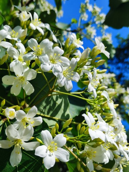 淡蘭北2+1逆走二刷2772785