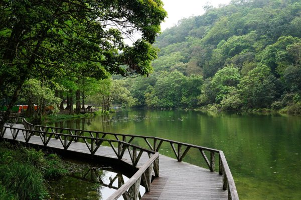 新北 烏來 志良久山3035172